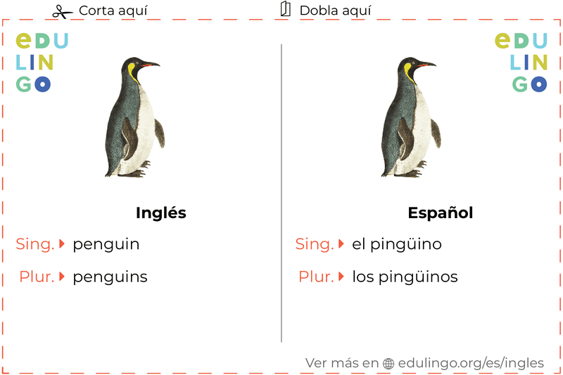 Ficha de Vocabulario Pingüino en inglés para imprimir, practicar y aprender