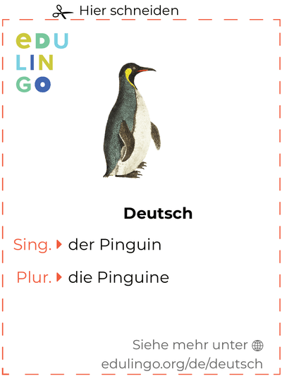 Pinguin auf Deutsch Vokabelkartei zum Ausdrucken, Üben und Lernen
