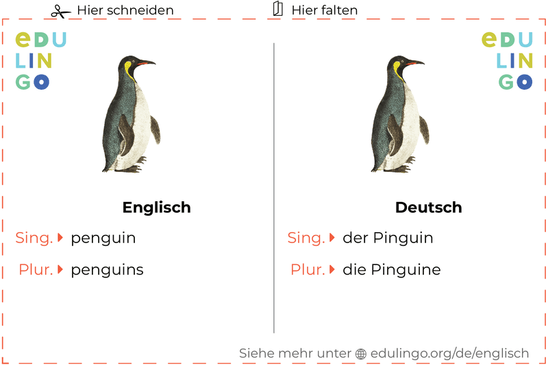 Pinguin auf Englisch Vokabelkartei zum Ausdrucken, Üben und Lernen
