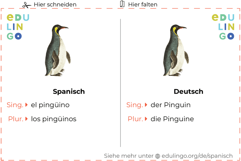 Pinguin auf Spanisch Vokabelkartei zum Ausdrucken, Üben und Lernen