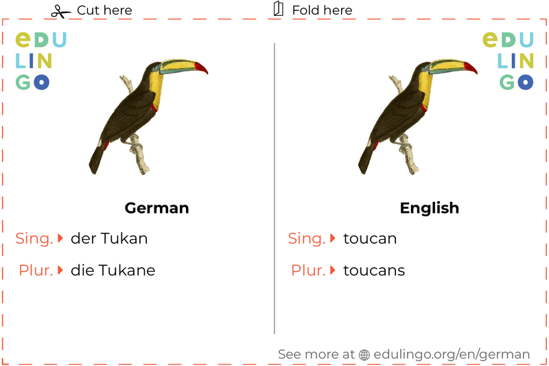 Toucan in German vocabulary flashcard for printing, practicing and learning
