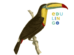 Thumbnail: Toucan in English