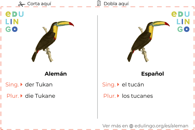 Ficha de Vocabulario Tucán en alemán para imprimir, practicar y aprender