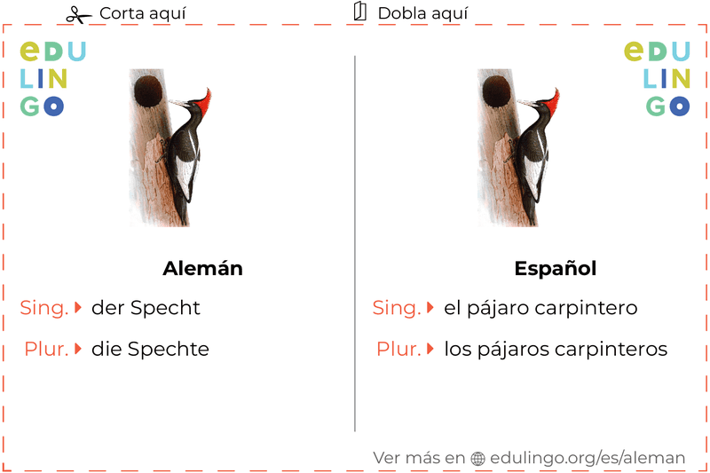 Ficha de Vocabulario Pájaro carpintero en alemán para imprimir, practicar y aprender