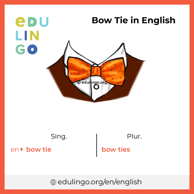 Bow Tie in English vocabulary picture with singular and plural for download and printing