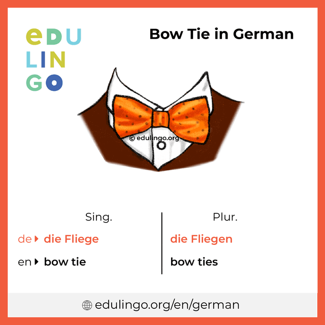 Bow Tie in German vocabulary picture with singular and plural for download and printing