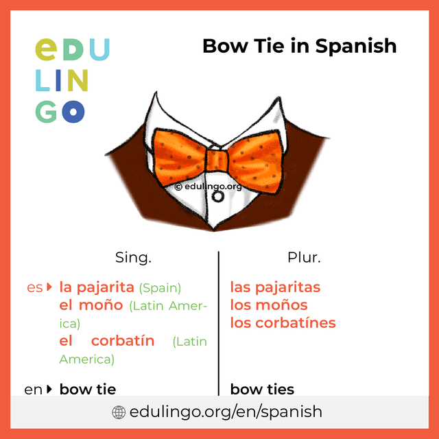 Bow Tie in Spanish vocabulary picture with singular and plural for download and printing