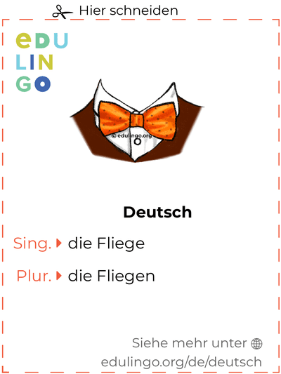 Fliege auf Deutsch Vokabelkartei zum Ausdrucken, Üben und Lernen