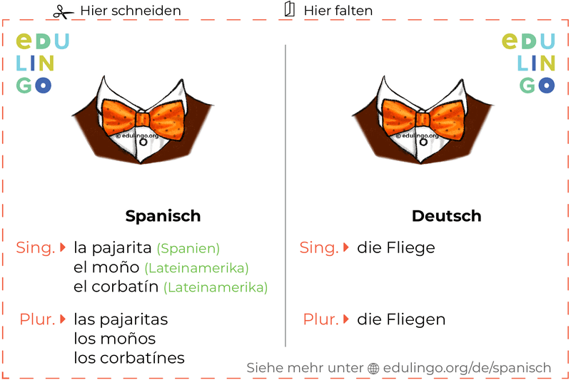 Fliege auf Spanisch Vokabelkartei zum Ausdrucken, Üben und Lernen