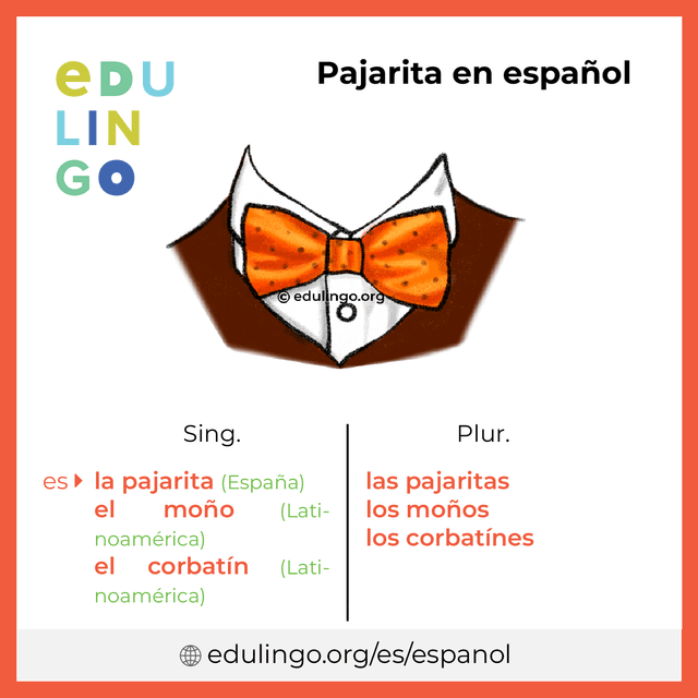 Imagen de vocabulario Pajarita en español con singular y plural para descargar e imprimir