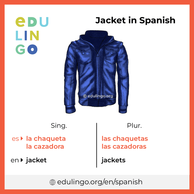 Jacket in Spanish vocabulary picture with singular and plural for download and printing