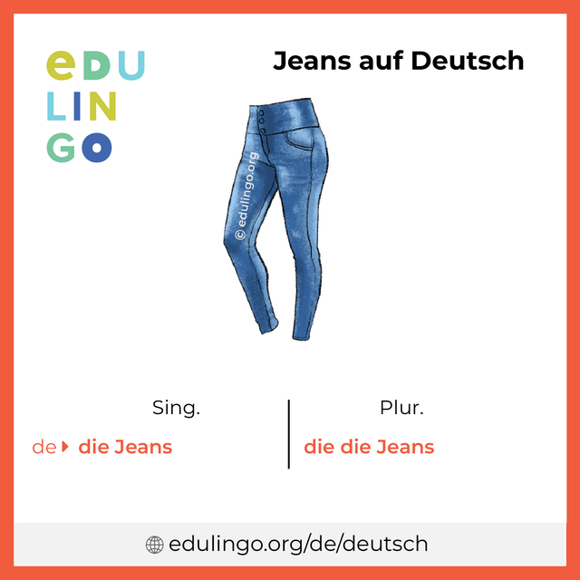 Jeans auf Deutsch Vokabelbild mit Singular und Plural zum Herunterladen und Ausdrucken