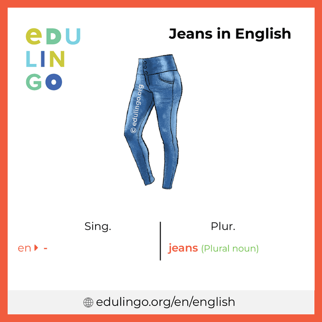 Jeans in English vocabulary picture with singular and plural for download and printing