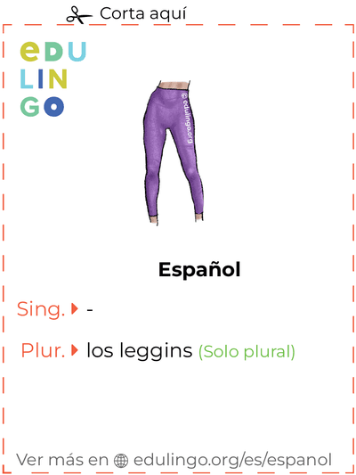 Ficha de Vocabulario Leggins en español para imprimir, practicar y aprender
