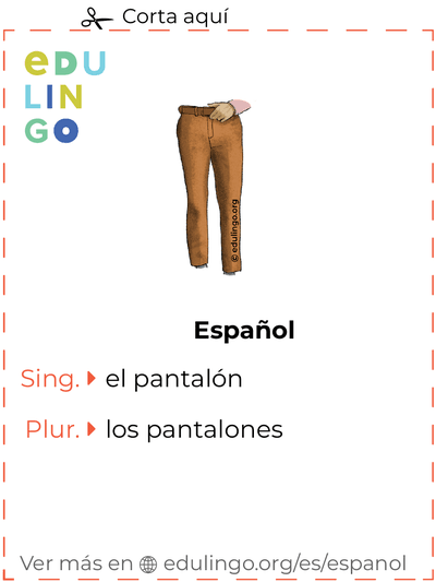 Ficha de Vocabulario Pantalón en español para imprimir, practicar y aprender