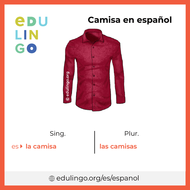 Imagen de vocabulario Camisa en español con singular y plural para descargar e imprimir