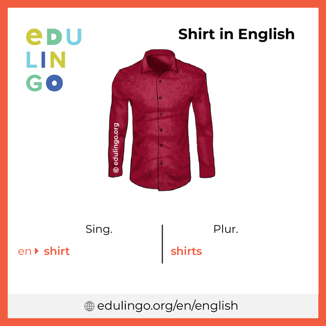 Shirt in English vocabulary picture with singular and plural for download and printing