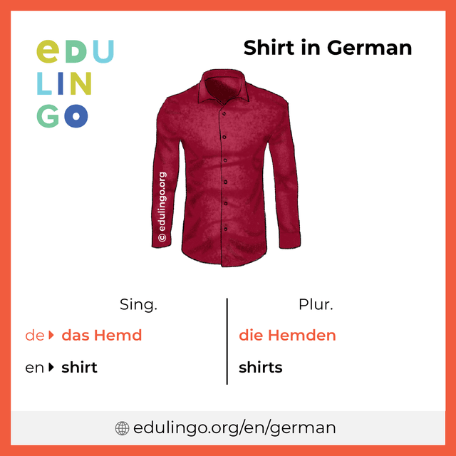 Shirt in German vocabulary picture with singular and plural for download and printing