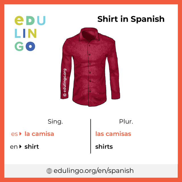 Shirt in Spanish vocabulary picture with singular and plural for download and printing