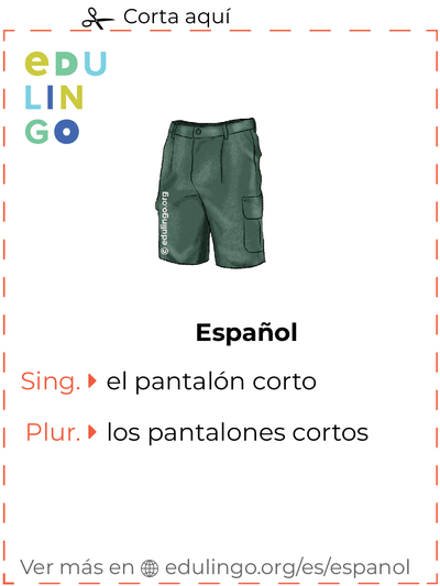 Ficha de Vocabulario Pantalón corto en español para imprimir, practicar y aprender