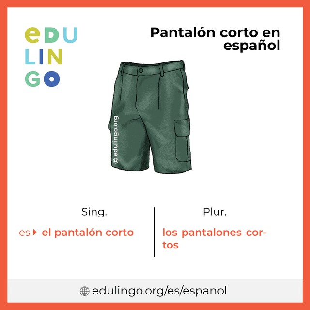 Imagen de vocabulario Pantalón corto en español con singular y plural para descargar e imprimir