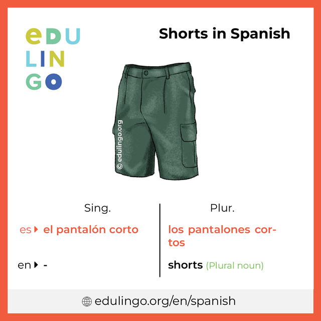 Shorts in Spanish vocabulary picture with singular and plural for download and printing