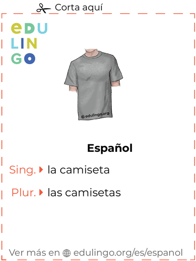Ficha de Vocabulario Camiseta en español para imprimir, practicar y aprender