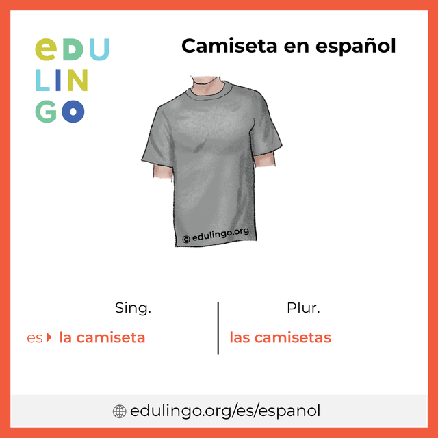 Imagen de vocabulario Camiseta en español con singular y plural para descargar e imprimir