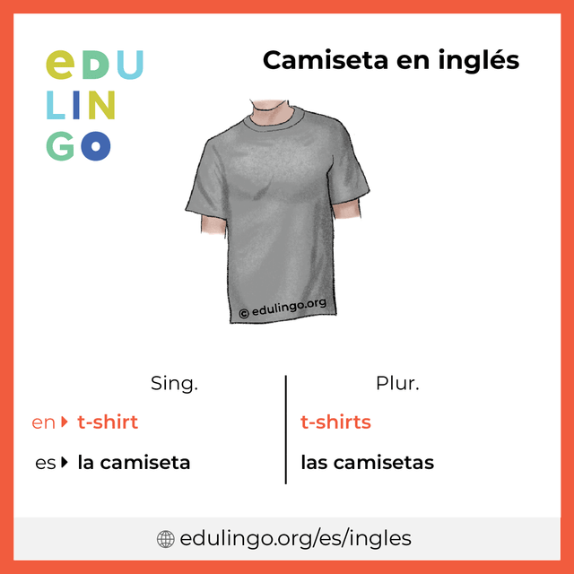 Imagen de vocabulario Camiseta en inglés con singular y plural para descargar e imprimir