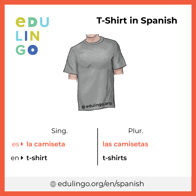 T-Shirt in Spanish vocabulary picture with singular and plural for download and printing