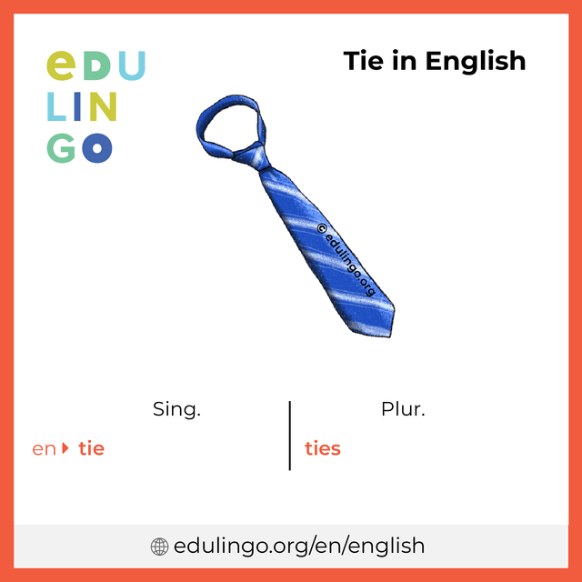 Tie in English vocabulary picture with singular and plural for download and printing