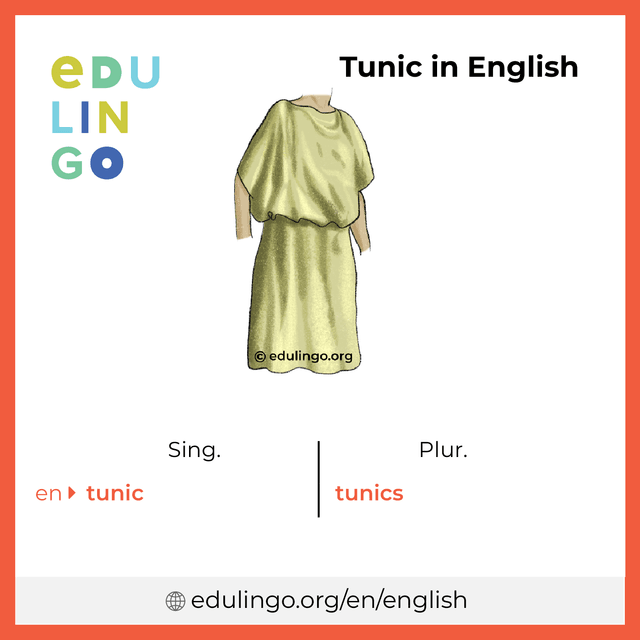 Tunic in English vocabulary picture with singular and plural for download and printing