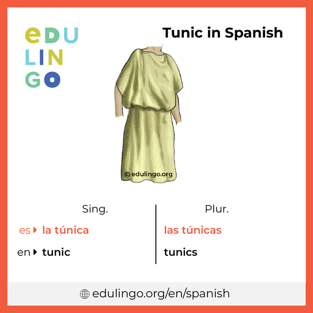 Tunic in Spanish vocabulary picture with singular and plural for download and printing