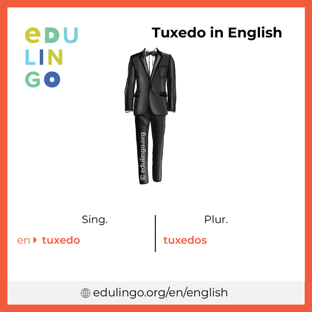 Tuxedo in English vocabulary picture with singular and plural for download and printing
