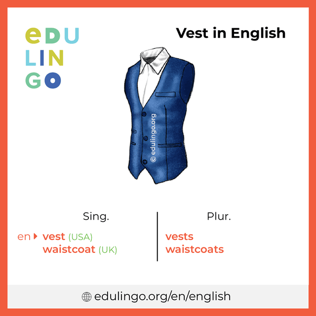 Vest in English vocabulary picture with singular and plural for download and printing