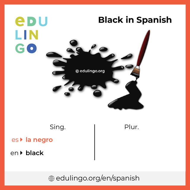 Black in Spanish vocabulary picture with singular and plural for download and printing