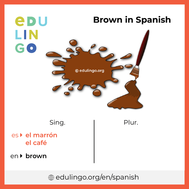 Brown in Spanish vocabulary picture with singular and plural for download and printing