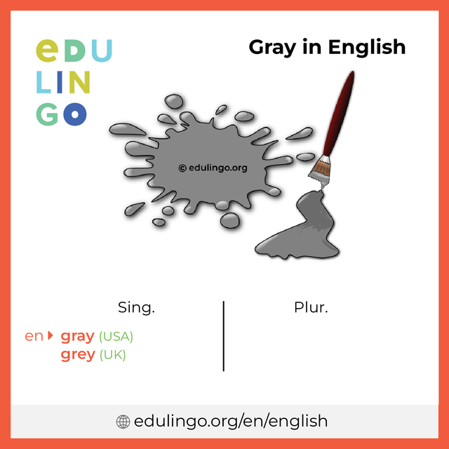Gray in English vocabulary picture with singular and plural for download and printing