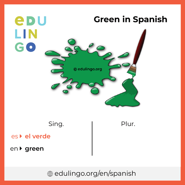 Green in Spanish vocabulary picture with singular and plural for download and printing