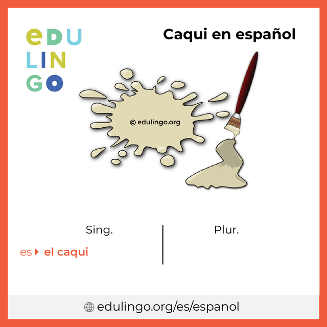 Imagen de vocabulario Caqui en español con singular y plural para descargar e imprimir