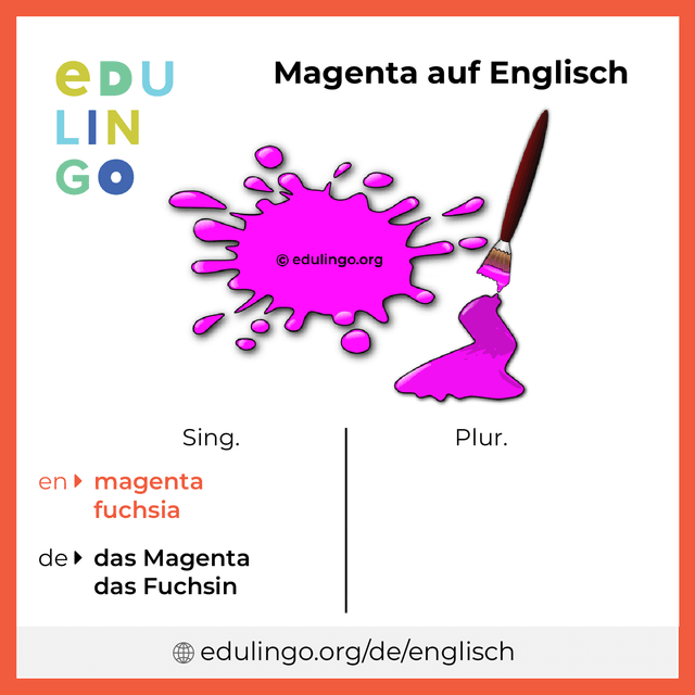 Magenta auf Englisch Vokabelbild mit Singular und Plural zum Herunterladen und Ausdrucken