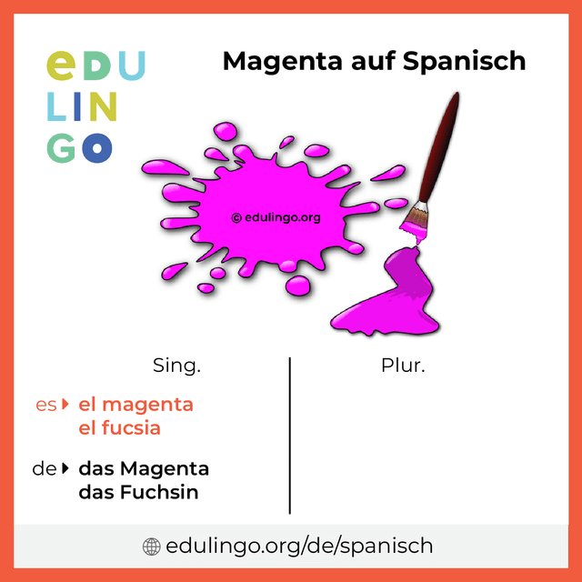 Magenta auf Spanisch Vokabelbild mit Singular und Plural zum Herunterladen und Ausdrucken