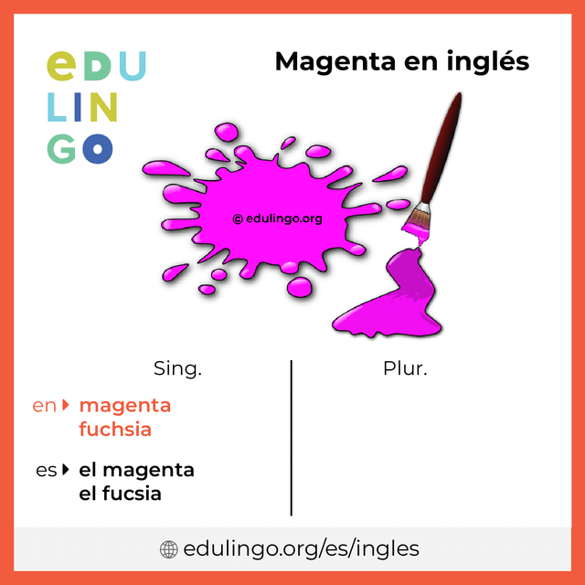 Imagen de vocabulario Magenta en inglés con singular y plural para descargar e imprimir
