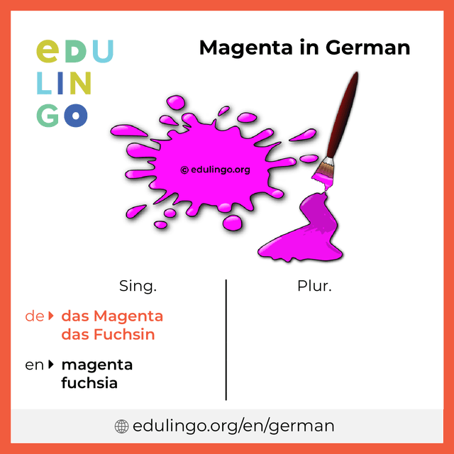 Magenta in German vocabulary picture with singular and plural for download and printing