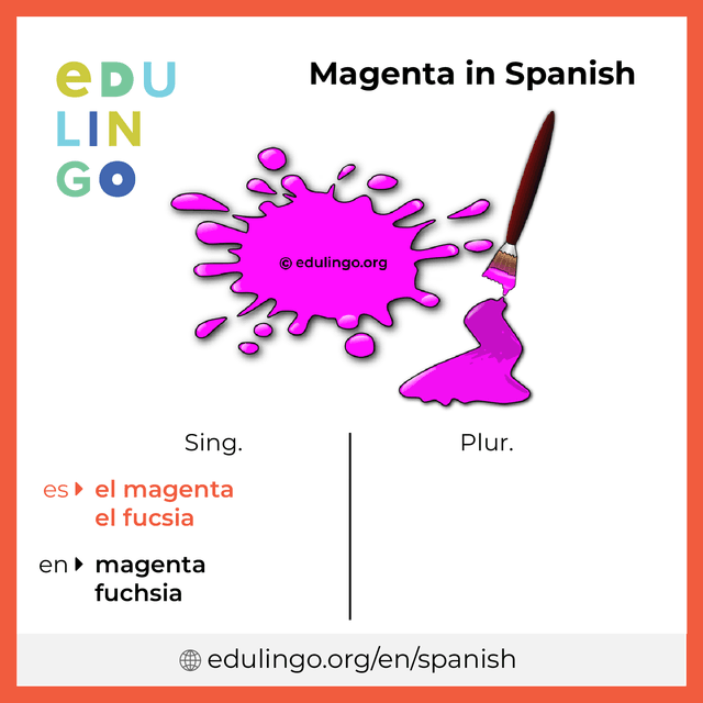 Magenta in Spanish vocabulary picture with singular and plural for download and printing