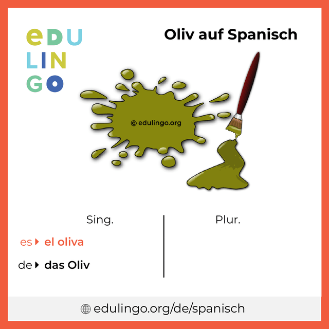 Oliv auf Spanisch Vokabelbild mit Singular und Plural zum Herunterladen und Ausdrucken