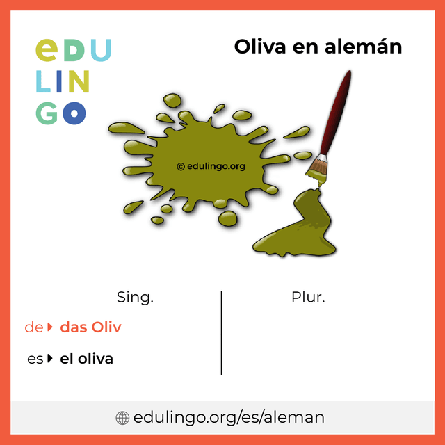 Imagen de vocabulario Oliva en alemán con singular y plural para descargar e imprimir