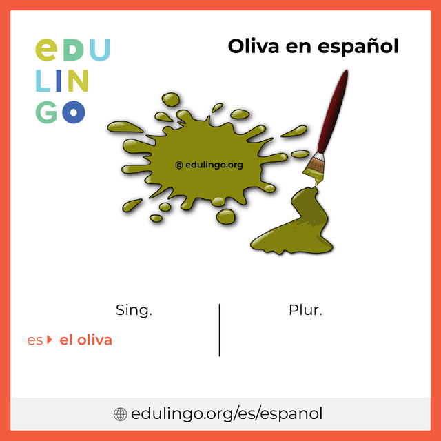 Imagen de vocabulario Oliva en español con singular y plural para descargar e imprimir