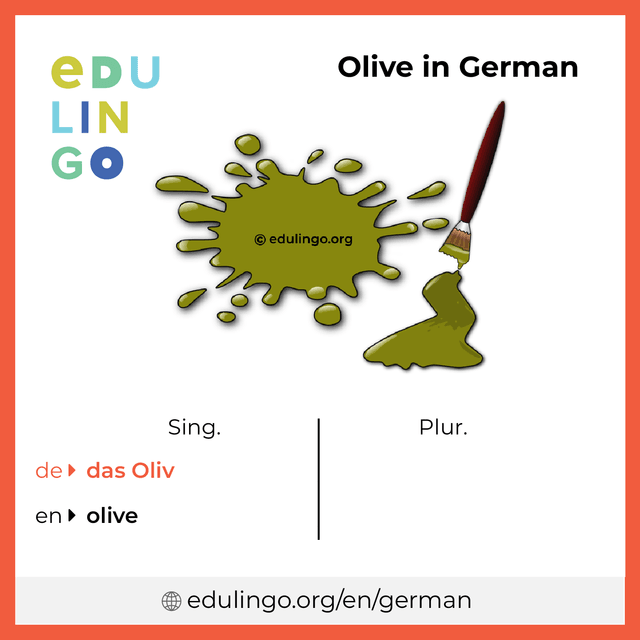 Olive in German vocabulary picture with singular and plural for download and printing