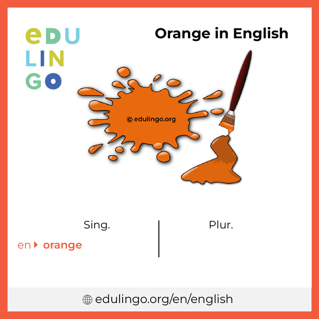 Orange in English vocabulary picture with singular and plural for download and printing